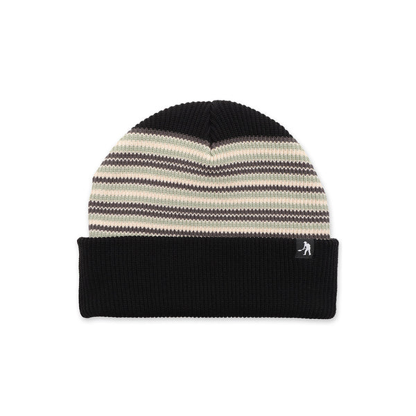 Passport Organic Stripe Beanie - Black