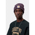 Carhartt WIP Short Watch Hat - Cozy Purple - Streetart.fr