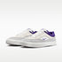 Nike SB Malor Platinum Tint / Court Purple - Wolf Grey - Streetart.fr